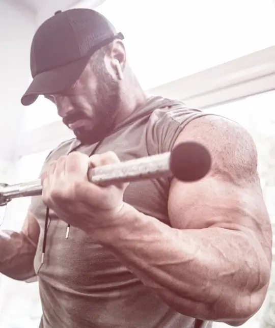Testosterone Support
